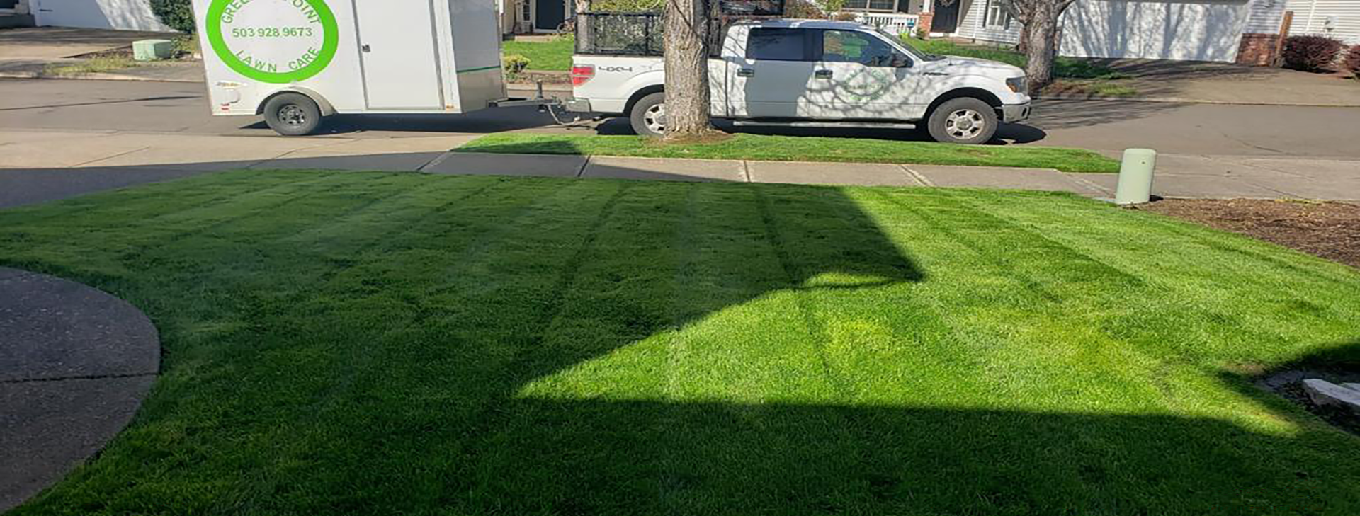 Have a pristine lawn your neighbors are envious of!