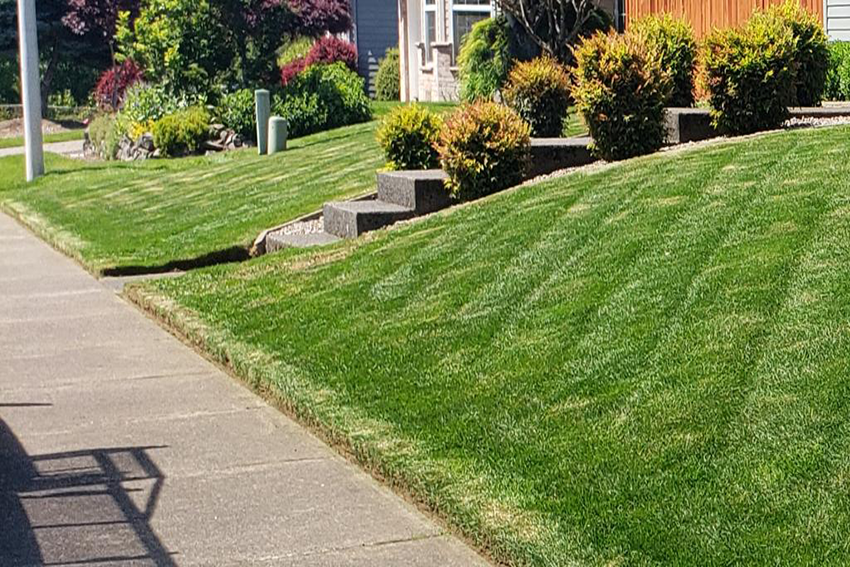 Residential Lawn Maintenance